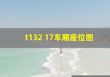 t132 17车厢座位图